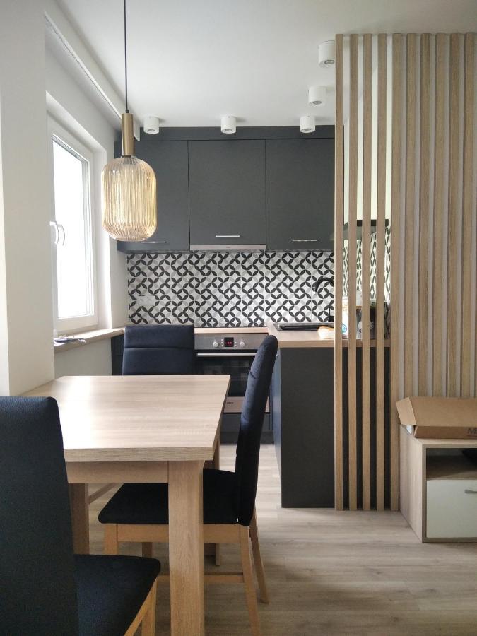 Apartament Zdroj Busko-Zdrój Εξωτερικό φωτογραφία